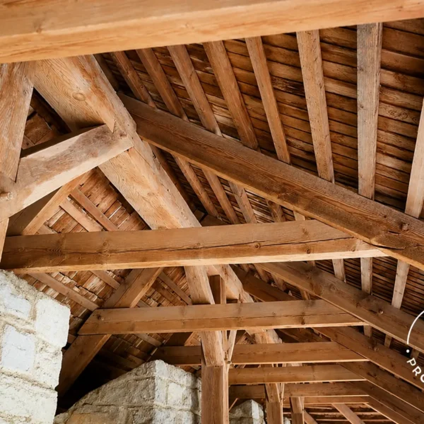 protechtoit charpentier bois bayonne - 20