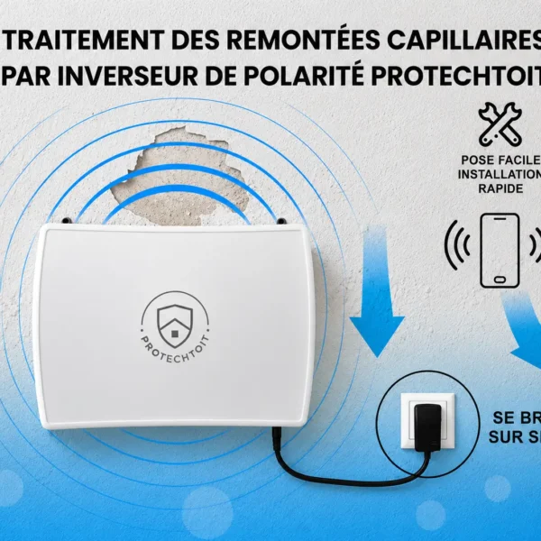 protechtoit entreprise maison humidite moisissures tarnos - 21