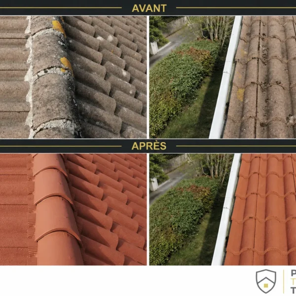 protechtoit entretien protection demoussage toit bayonne - 20