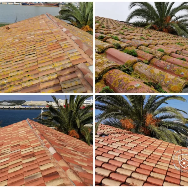 protechtoit demoussage toiture anglet - 1