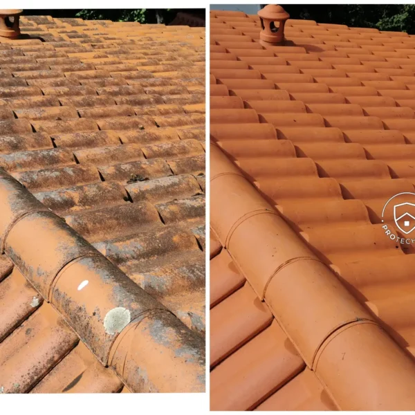 protechtoit demoussage toiture anglet - 30